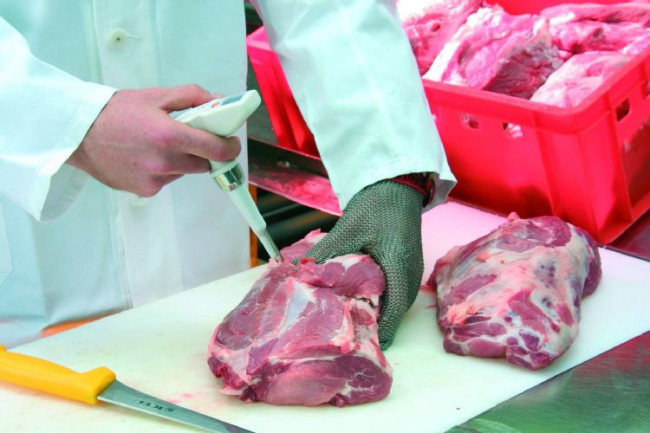 Комплект Testo 105 с зондом для замороженных продуктов